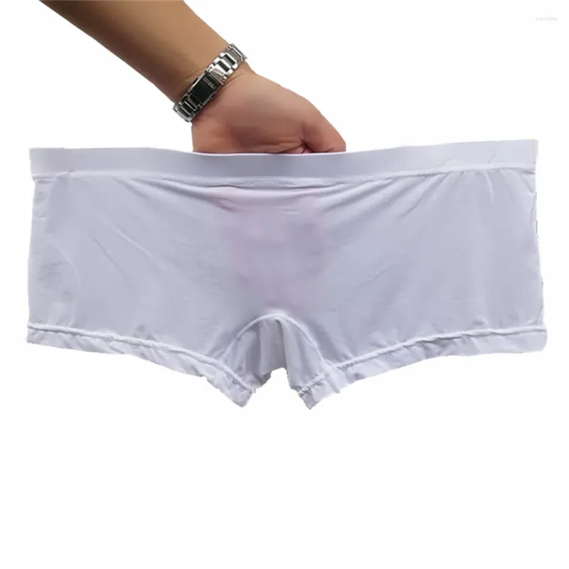 Calzoncillos para hombres boxeadores de seda de hielo bragas transparentes pantalones cortos de malla transparente transparente