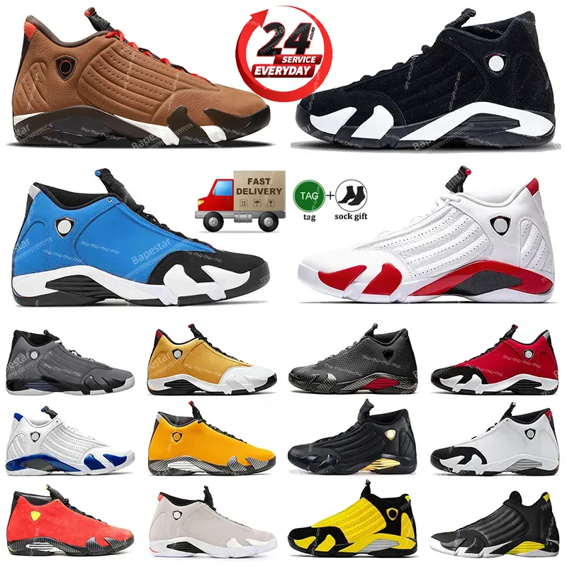 Jumpman 14 Buty do koszykówki z pudełkiem 14S Trenery Czarne białe cukierki imbirowe laska laska zimowa czerwona pustynna piasek definiujący momenty Hyper Royal Mens Sports Sneakers