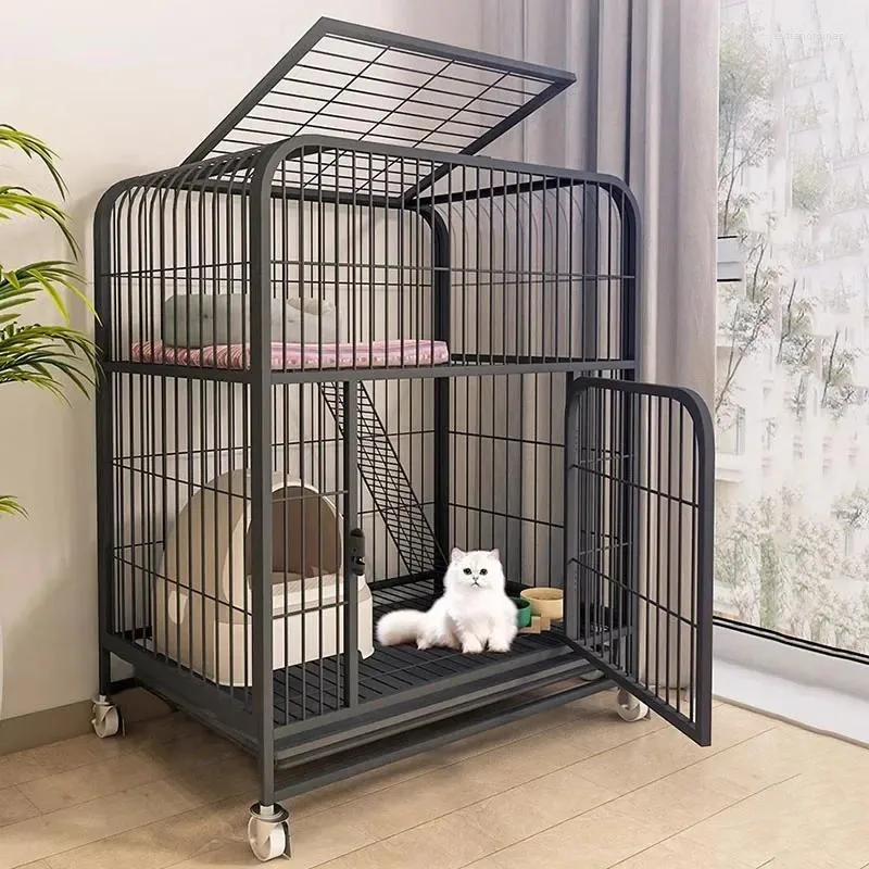 Cat Carriers Playpen For Animals Large Hiding House Panoramic Accessories Modern Indoor Cats Cage Great Gaiola Para Gato HY