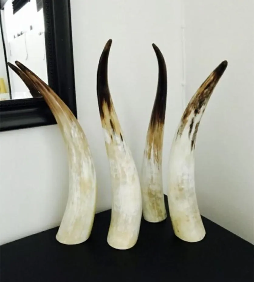 11 Natural Genuine horn ornaments single yellow single horn horn of Africa more than 40cm60cm9395177