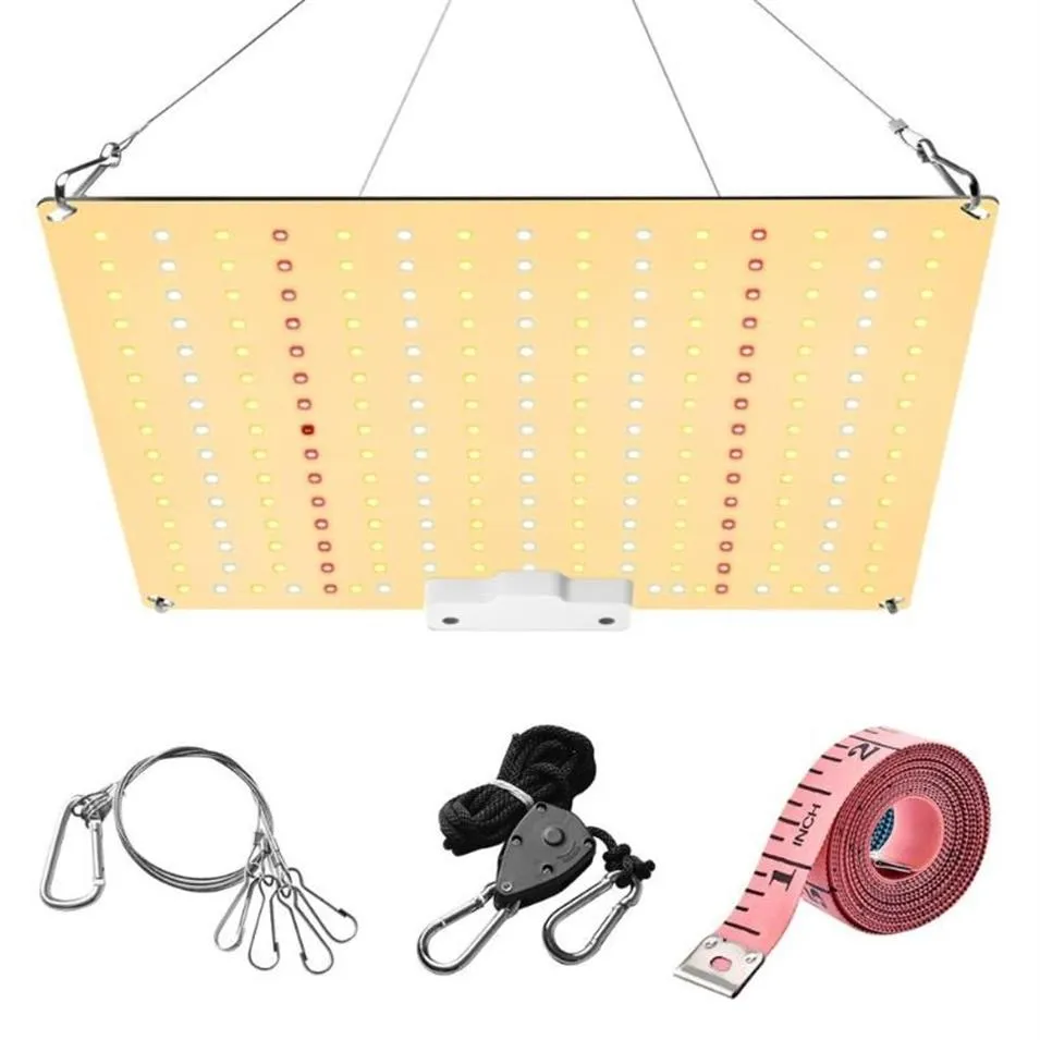 Grow Lights LM281B Diodes静かなファンレスフルスペクトル600W LEDライト高PPFD 2x3ft Tent Segeling Veg and Blooming195m