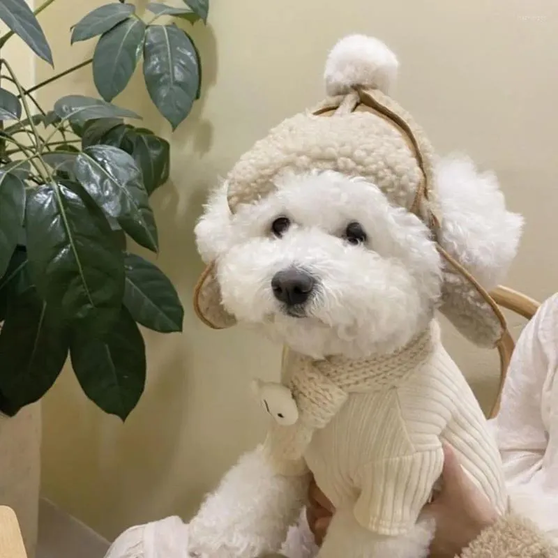 APPACILIER DOG VACEL PET pour l'hiver Decoration moelleuse élégante Chapeaux confortables