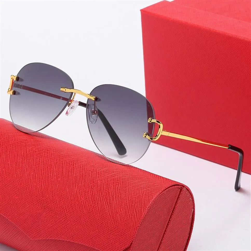 Lunettes de soleil pour hommes Lunettes de soleil Medusa Eyeglass Fashion Silver Metal Eyeglass Original Red Case Buffalo Horn Lunette Lunette D248Y