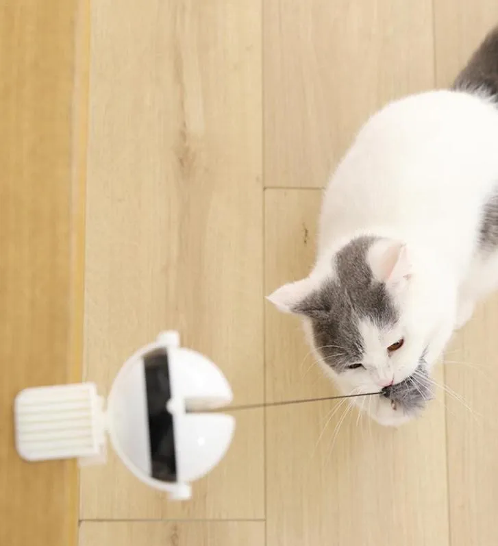 고양이 행동 훈련 개 낚시 장난감 IQ 전기 자동 대화 형 애완 동물 고양이 요요 볼 4614079