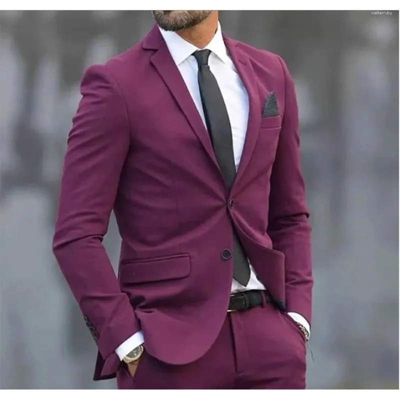 Costumes pour hommes Red Slim Fit Formal Occasion 2 pièces Pantalons de veste nouée Business décontracté set complet