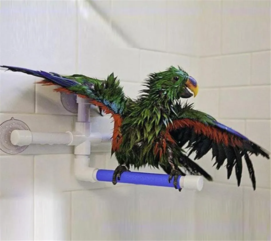 Inne zaopatrzenie ptaków Parrot Toys Bath Prysznica stojąca stojak na platformę Patak Parakeet Pet Akcesoria 5768510