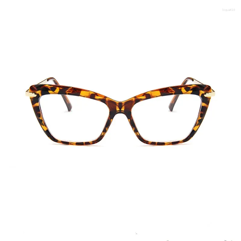 Les lunettes de soleil encadrent en plastique Plectacle Spectacle Spectacle Men's Retro Fashionable Myopia Eyeglass de personnalité des femmes