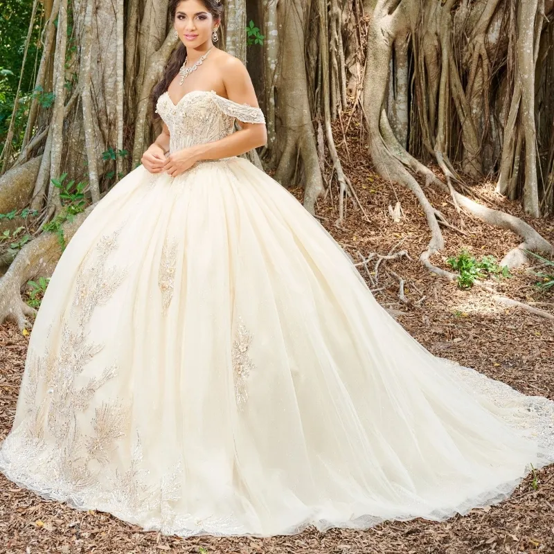 2024 Beige Quinceanera Sukienki maskarada Puffy Ball suknia balowa sukienka z aplikacjami koronki Sweet 16 vestidos de 15 anos