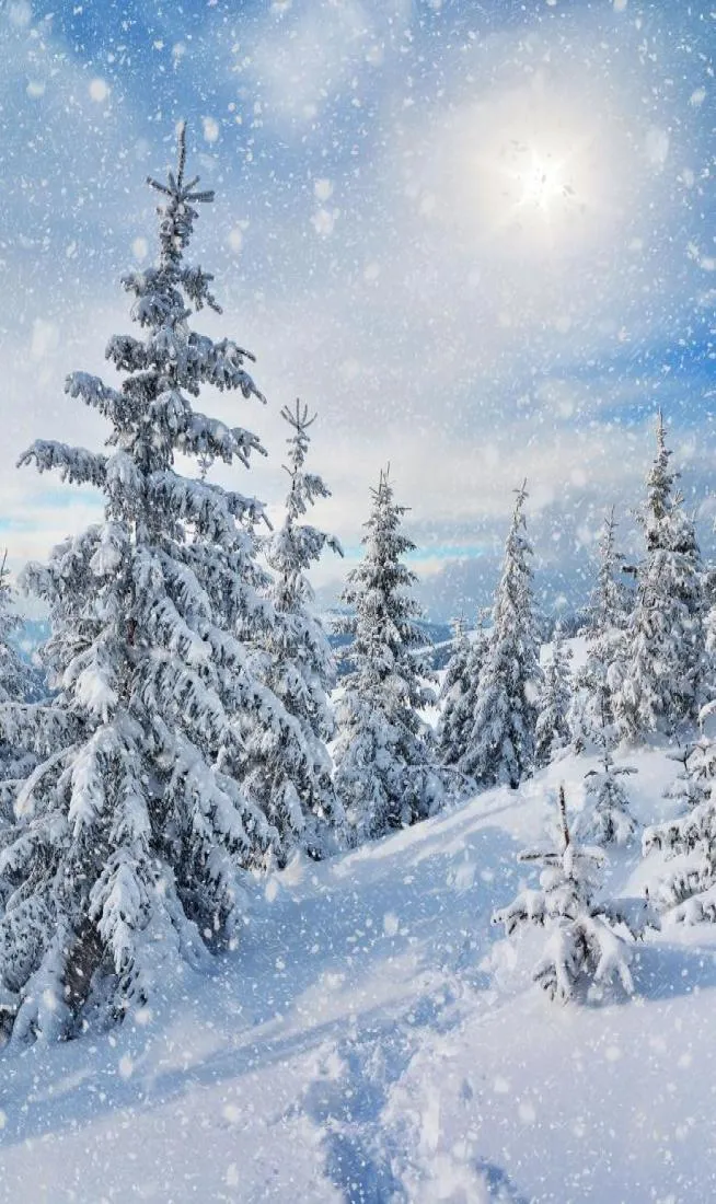 Зимний лес, снежная буря, горы, виниловые фоны для фотосъемки, бесшовные солнечные фоны для стенда для свадебной студии, реквизит 59699797087825