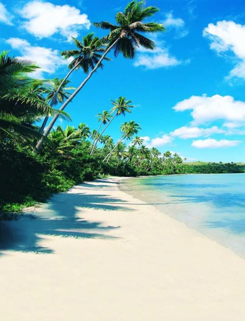 Letnia plaża ślubna Pogna Tło dla studia White Cloud Blue Sky Water Water Green Trees Nature Scenic Po Backd8902166