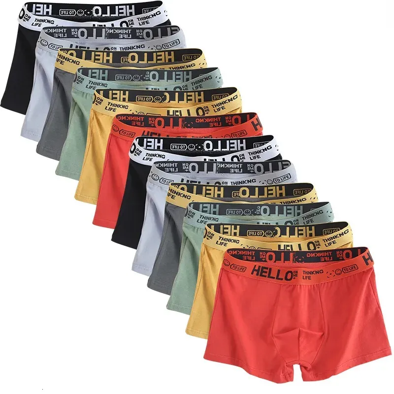 6 piezas de ropa interior para hombre, calzoncillos de algodón para hombre, bragas puras para hombre, pantalones cortos, Boxer transpirable, cómodo, suave, de talla grande 231225