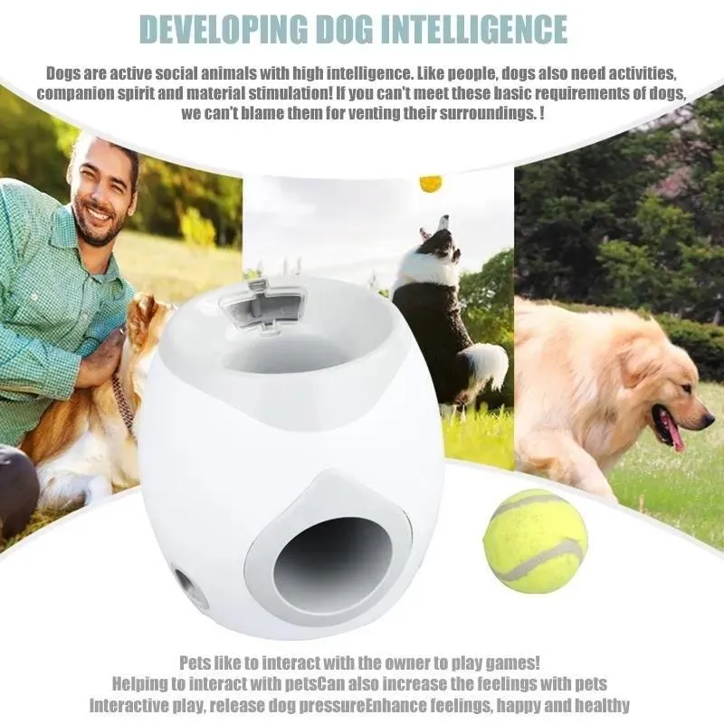 Kaut Hundespielzeug Interaktiv Fetch Treat Katze Haustier Tennisball Automatischer Spender Trainer Haustier Lustige Belohnungsmaschine Spielen Trainingsspielzeug Y2003