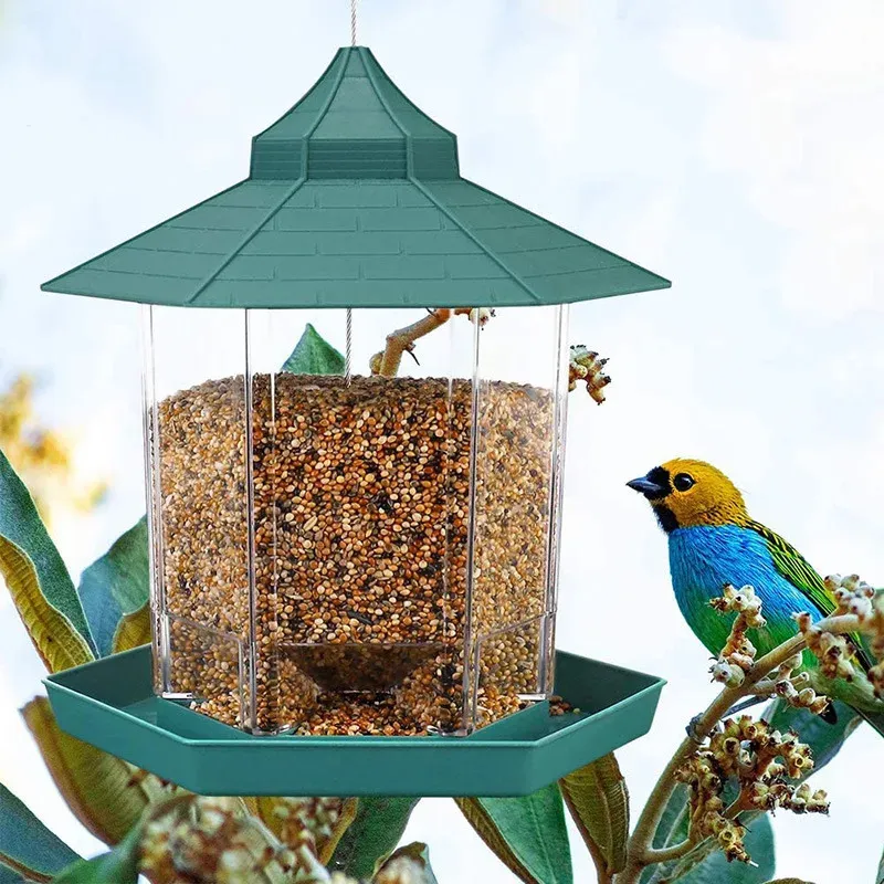 Terrific Bird Feeder For Balcony Photos