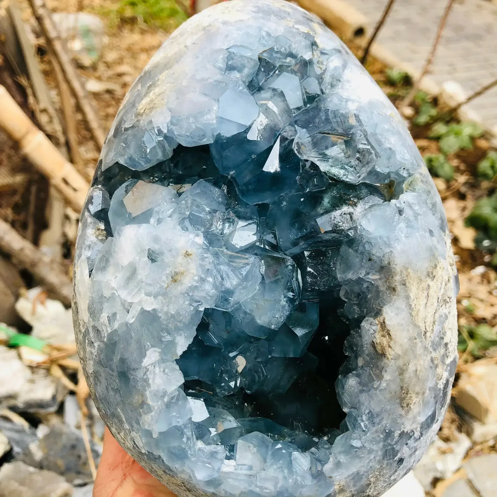 1 st Madagascar Natural Celestite Crystal Druzy Cluster Sky Blue Geode Mineral Prov Home Decor 231225