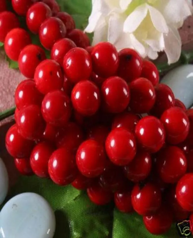 natural 10mm Red Coral Round Loose Beads 15039039natural018703465