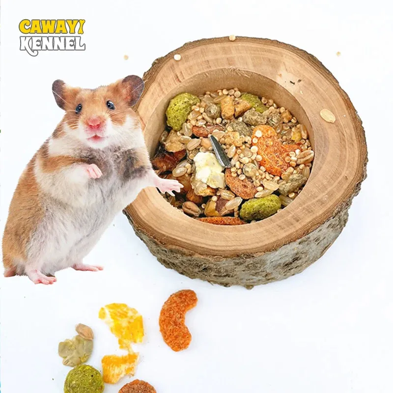 Pet Hamster Fruit Wood Food Bowl Golden Bear Squirrel Log Gnawing Toys for Small Animals Bowls D9136 231226