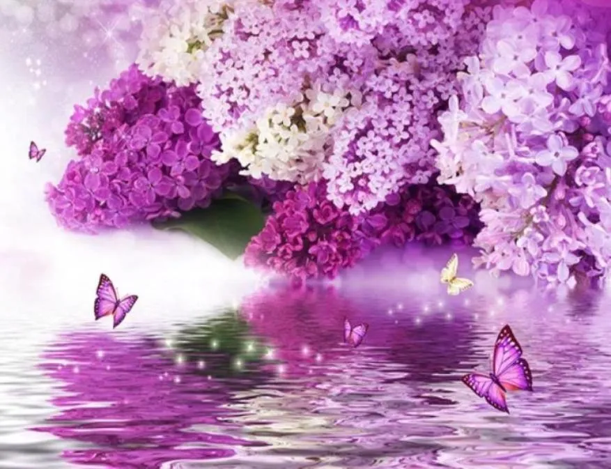 Vackra landskapsbakgrundsbilder Lila blommhydrologi reflektion Butterfly Bakgrund Wall7020704