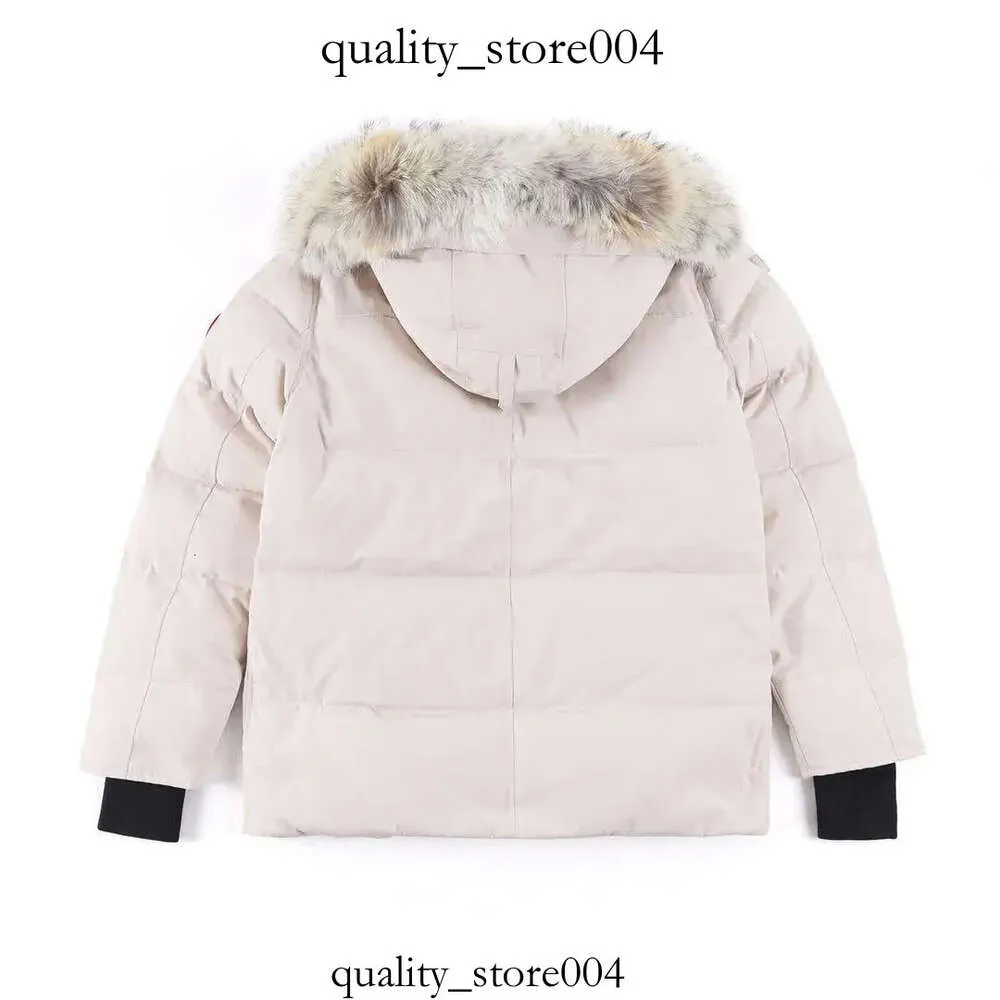 Canda Goose Golden Goose Quality Mens Down Jacket Goose Coat Real Big Wolf Fur Canadian Wyndham Overcoat Clothing Fashion Style Winter 613