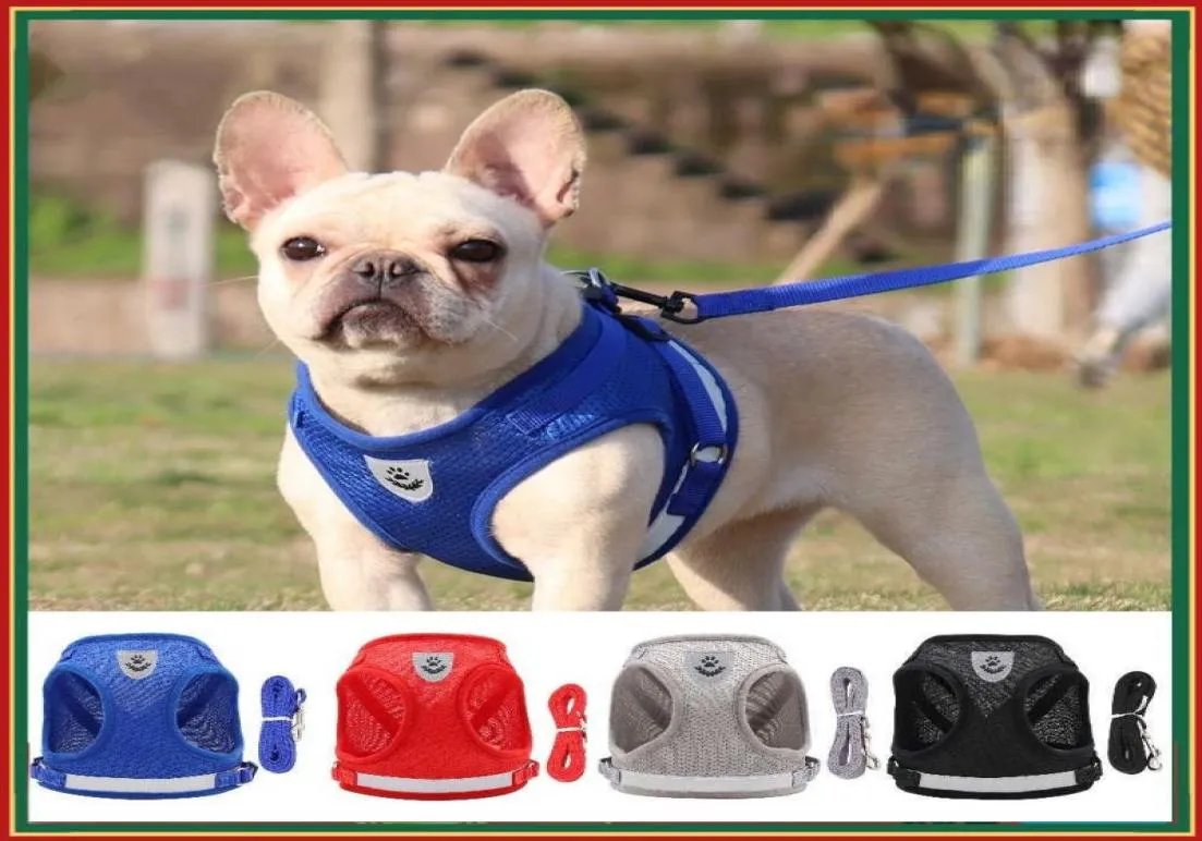 Coleiras para cães e gatos, conjunto de arnês e trela para cães pequenos e médios, arnês para chihuahua, buldogue francês, pug, filhote de cachorro, 8810063