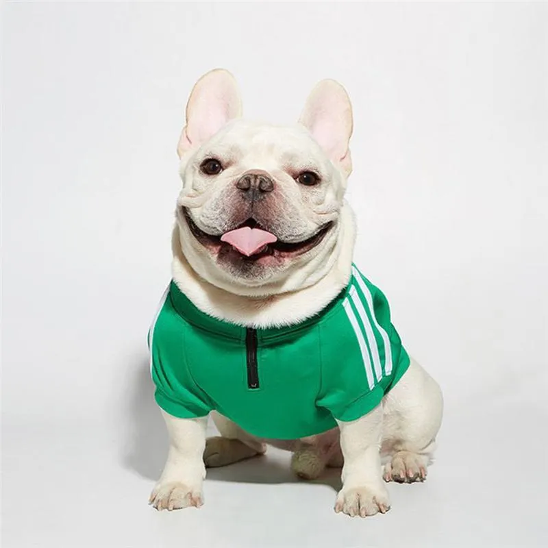 Cheap pet clothes cheap