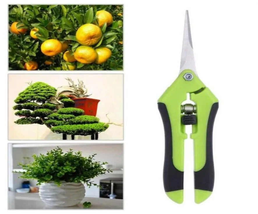 Outils de jardin Seccateurs Bonsaï Cisaïs Metal Gardening Scissor Trogning Tournette à main Fruit de raisin Cueillette Maison Maison Potted2466155053