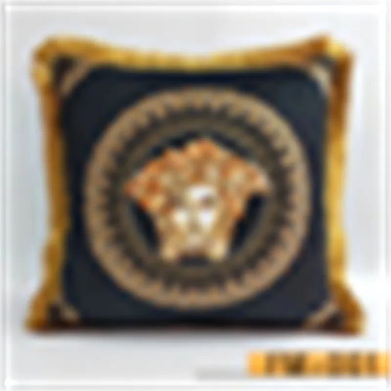 Coussins de créateurs Coussin décoratif Coussin de luxe Mode Vintage Tissu de velours Coussin à pompons Coussin lombaire décoratif pour la maison Housse de coussin pour canapé et voiture Décor