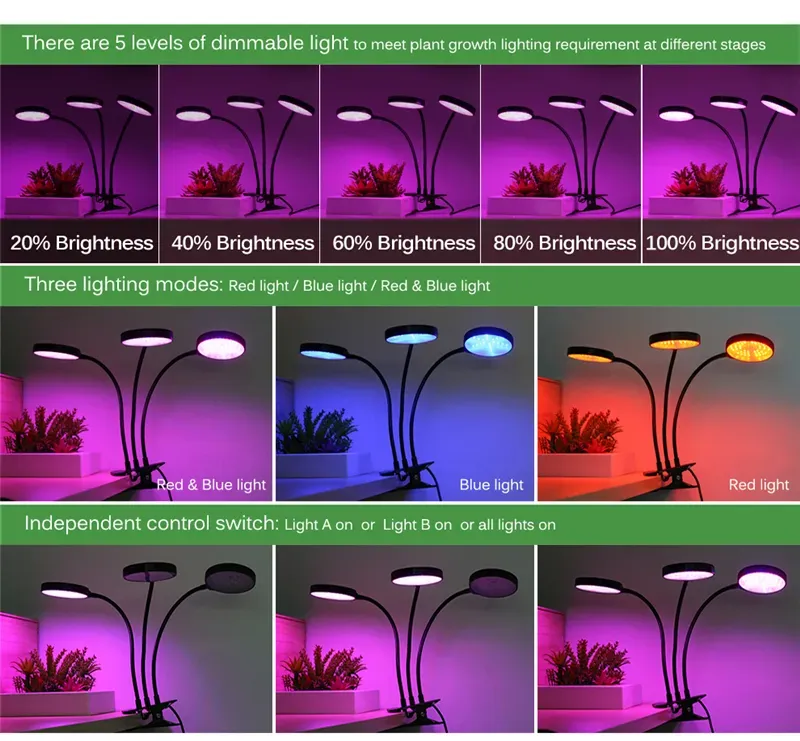 LED Grow Light Red And Blue DC5V USB Full Spectrum Phyto Lamp Desktop Clip Picture Lamps Indoor Plants Flowers