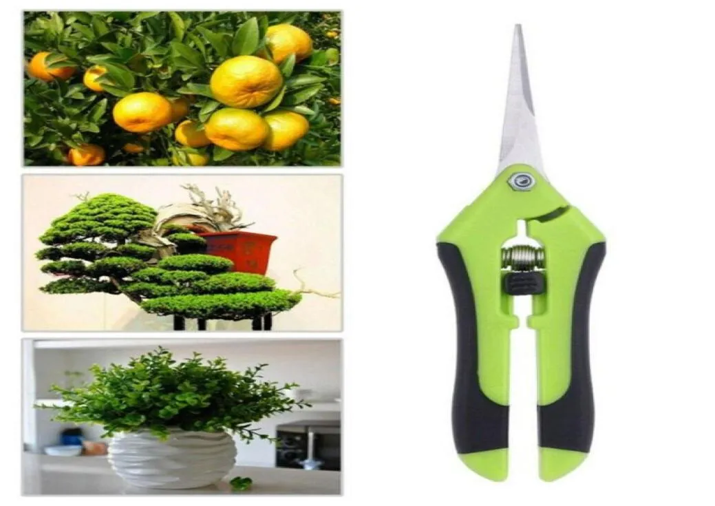 Outils de jardin Sécateur Bonsaï Ciseaux Ciseaux de jardinage en métal Outil d'élagage Coupe-main Cueillette de fruits de raisin Ménage en pot2461610684