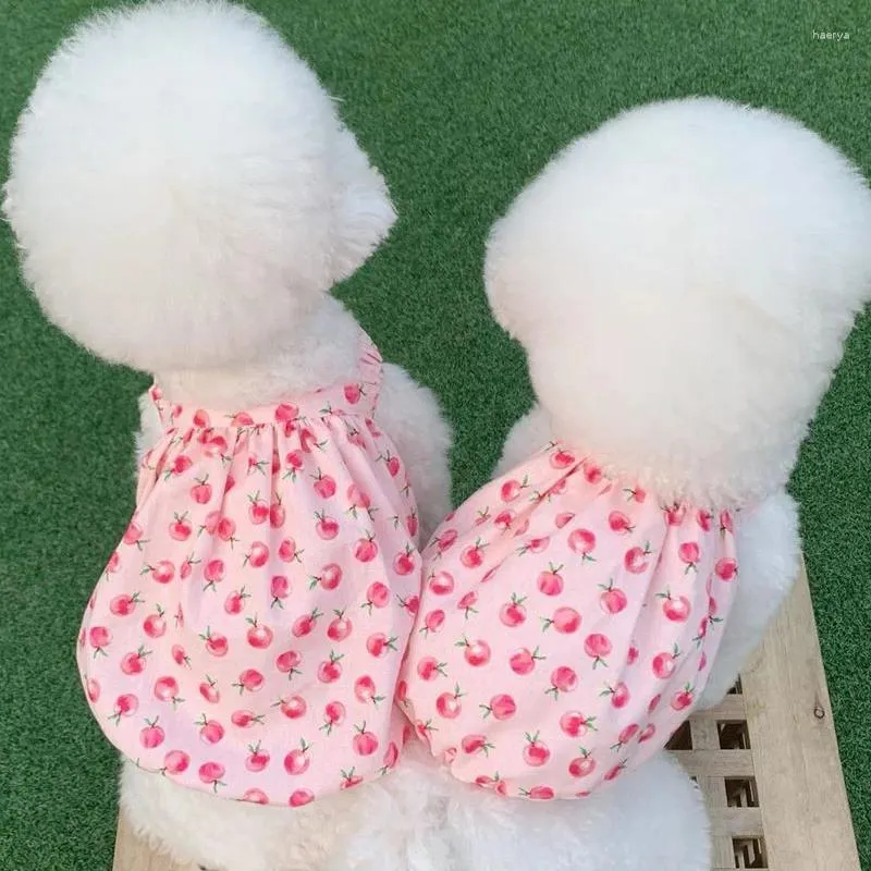 Vêtements pour chiens Gilets Robe d'été Robes de chat Jupe Yorkshire Terriers Vêtements de Poméranie Shih Tzu Bichon maltais Costume de vêtements pour animaux de compagnie