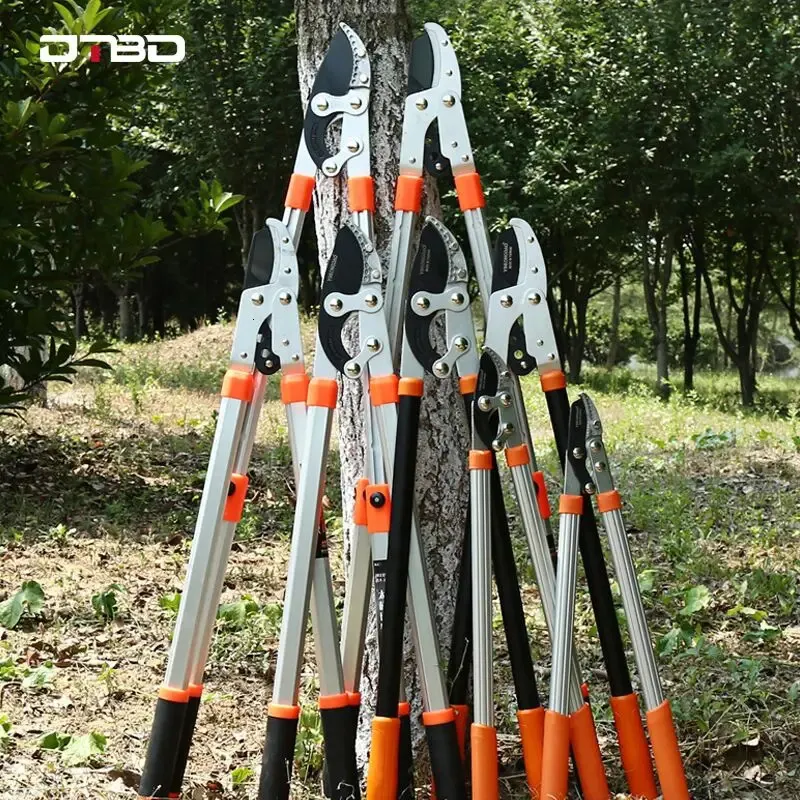 DTBD مقصات التقليم القابلة للتعديل عالي جاردن شجرة الأشجار التلسكوبي أدوات سكين الفاكهة الفاكهة 231228