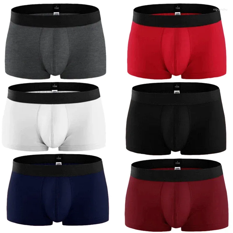 Cuecas vendem moda algodão roupa interior homens impressão homem boxers homme confortável macio respirável calcinha masculina l xl 2xl