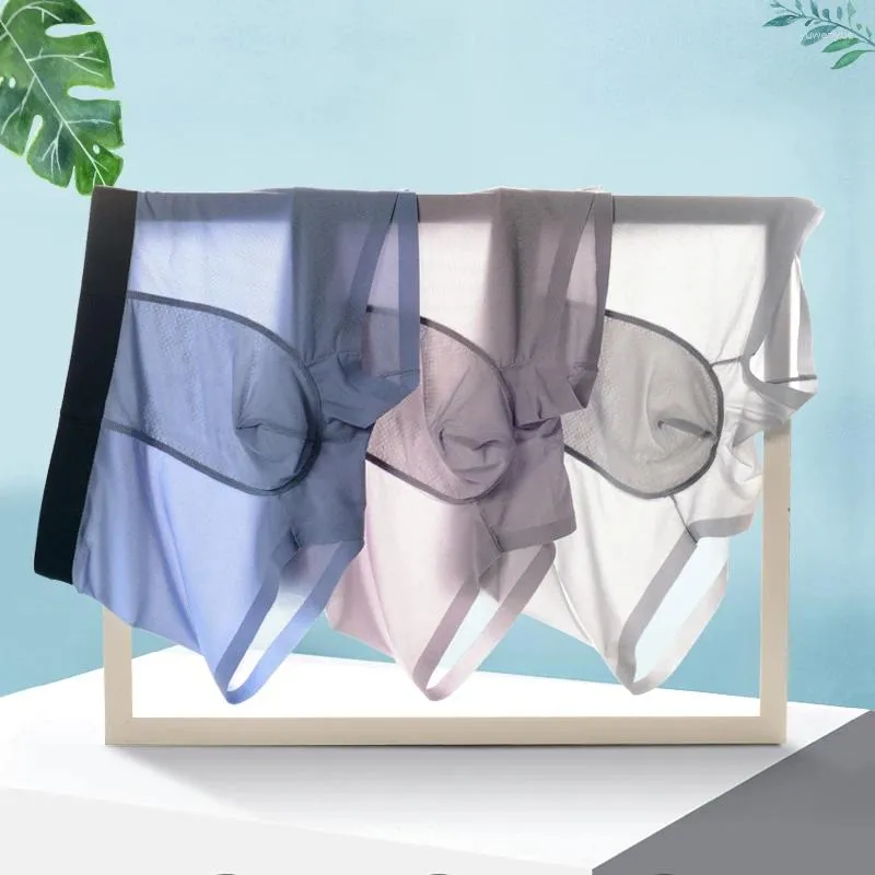 Cuecas 6 Pçs / lote Direto da Fábrica High-End Ice Silk Seamless Men's Underwear Malha Respirável Transparente Sexy Boxer Briefs