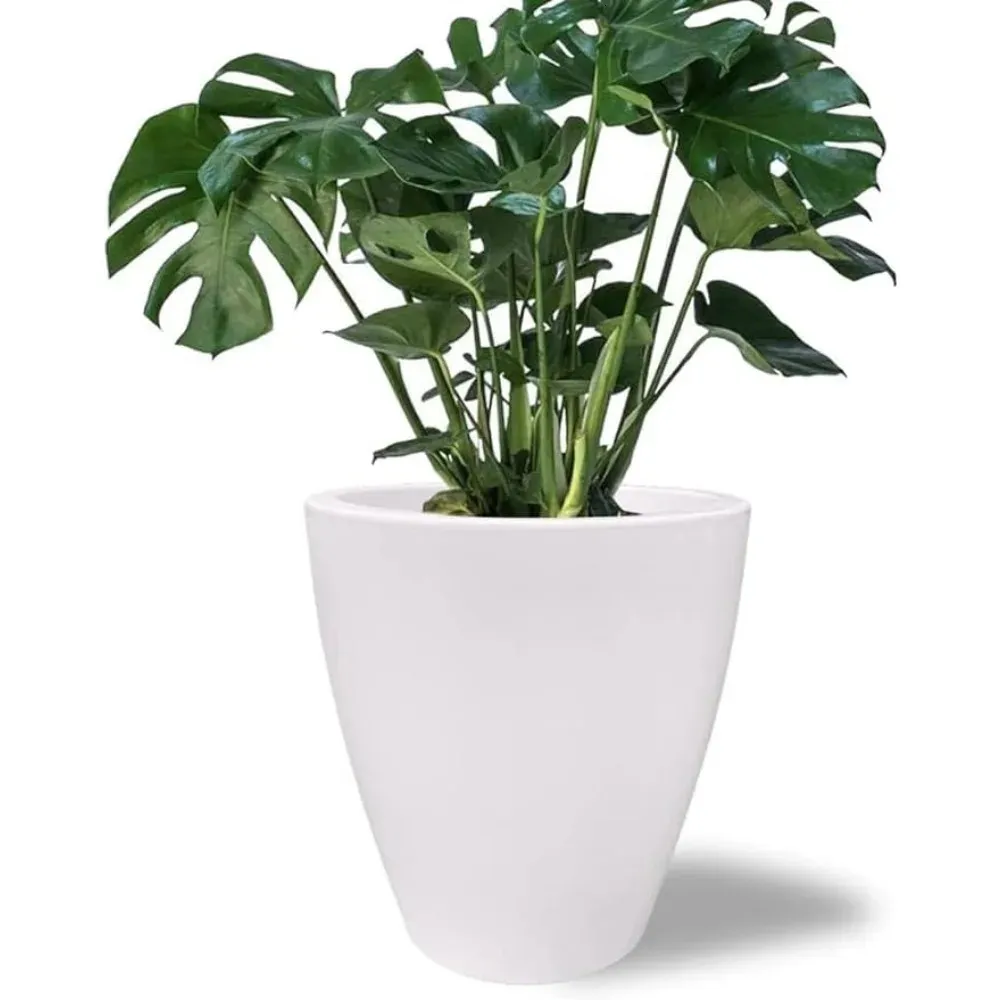 lowes plastic plant containers Pro Cal Premium 2 Gallon Nursery Pot