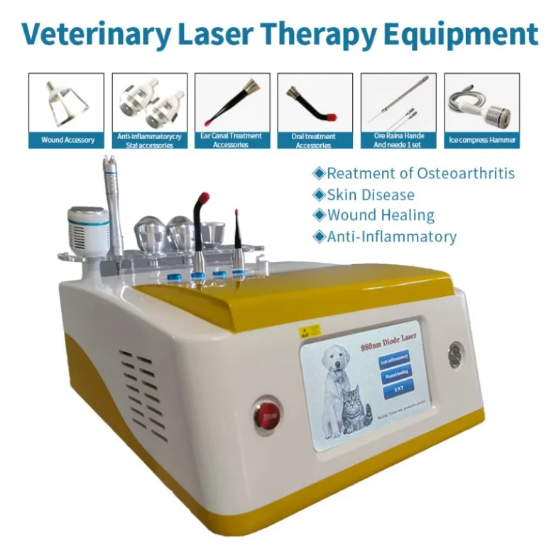 Vermageringsdieetmachine Hola I Uitrustingen met hoge frequentietherapie Hoog vermogen Veterinair infrarood koud lasertherapieapparaat voor hondenpijn