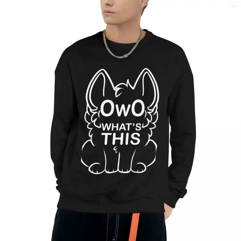 هوديز الرجال owo ما هذا؟ - Swefshirts text anime ملابس أنيمي منتجات الخريف للنساء