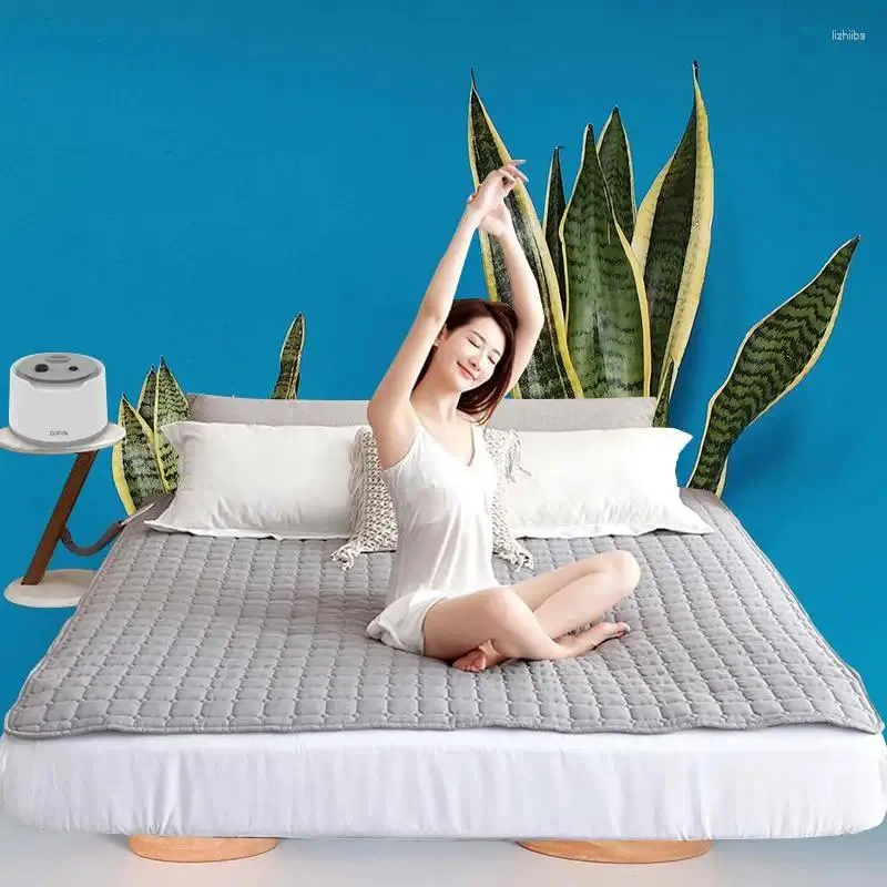Electric Heating Blanket Water and Electricity Separation Non Radiative for Rapid Heating in 3 Seconds
