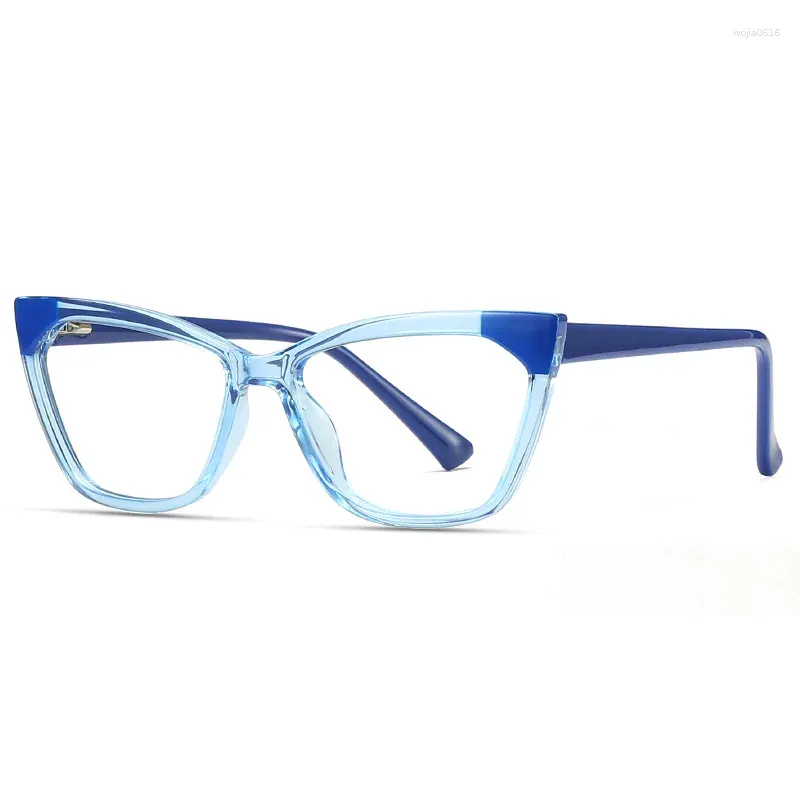 Lunettes de soleil Cadres Anti Blue Light Eye Lunettes Cadre pour femmes Élégantes littérature et art Style TR90 Matériel Hommes Lunettes de mode