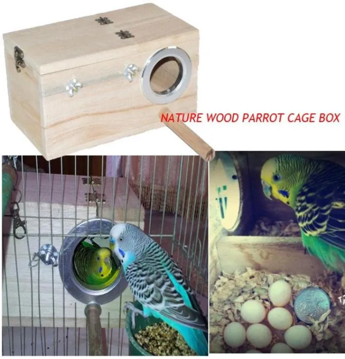 Columpio de madera para pájaros y loros, jaula con soporte, juguetes colgantes coloridos para Cockatiel Budgie5762702