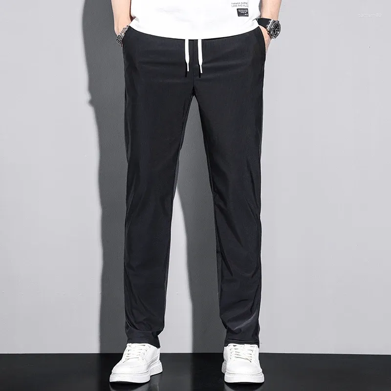 Men's Pants Spring Summer Ice Silk Casual Long Black Thin Elastic Loose Straight Leg Sports