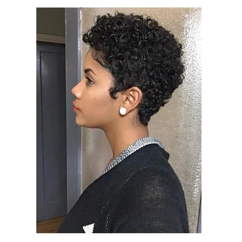 Wigs African Ameri brazilian Hair soft short cut Curly Wigs Simulation Human Hair short kinky Curly Wig for women i