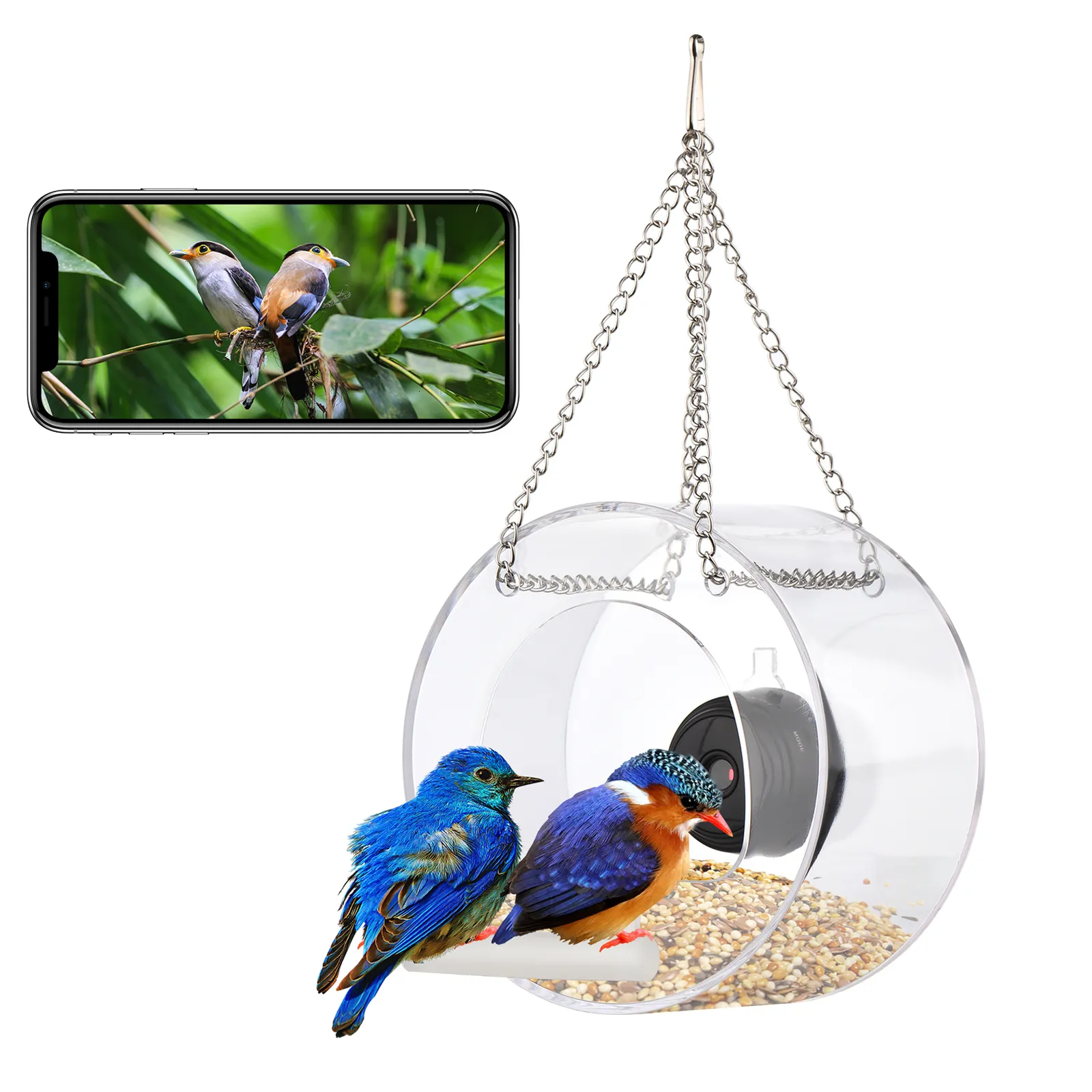 AKND Pets Mangeoire pour Oiseaux de Fenêtre avec Ventouses