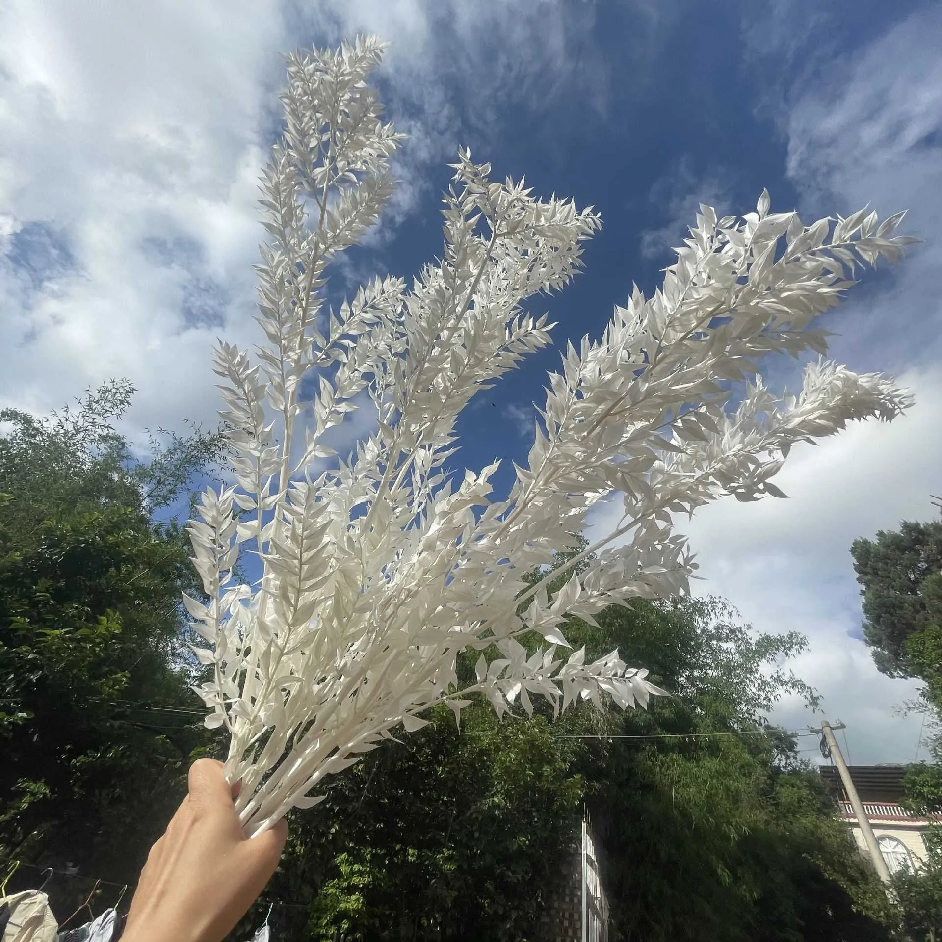 Torkade blommor bröllopsarrangemang hemstil eukalyptus lämnar naturlig julfestrumsdörrdekoration