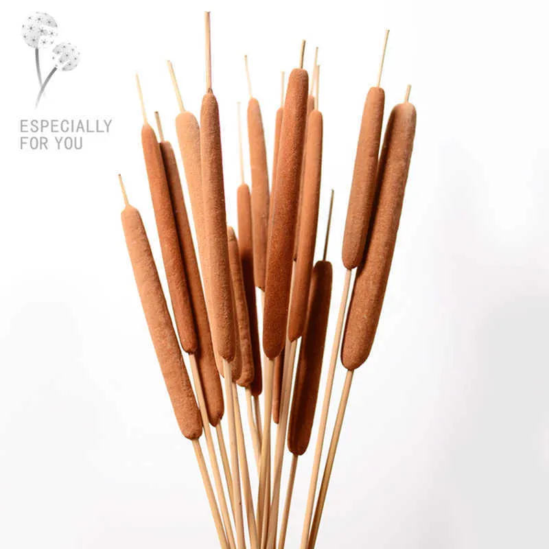 Torkade blommor 10st/40 cm naturliga Typha angustifoliall Eternell Display Flower Diy Home Wedding Arrangement Decoration Photo Props