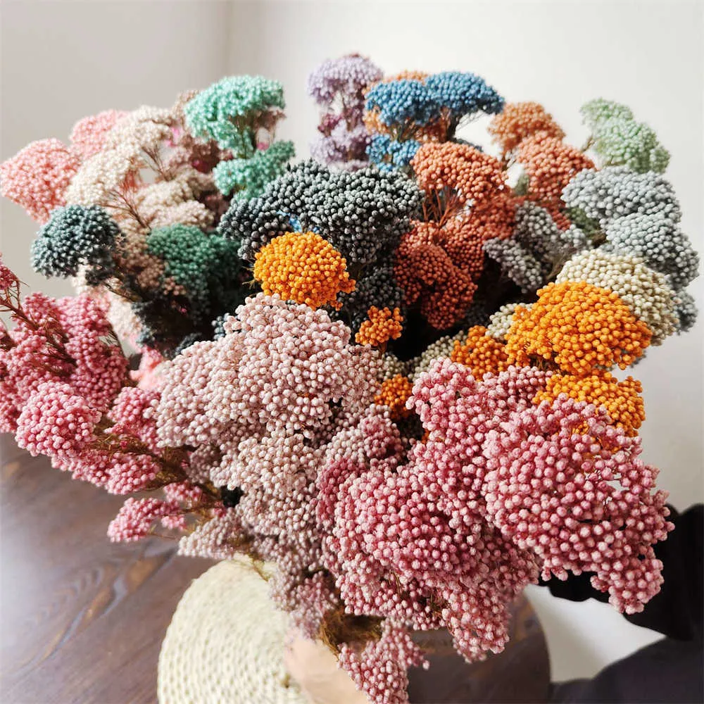 Torkade blommor 45-50 cm naturlig växtblomma bevarad färsk odödlig hirsbuketter gåva för heminredning bröllopsfest dekoration