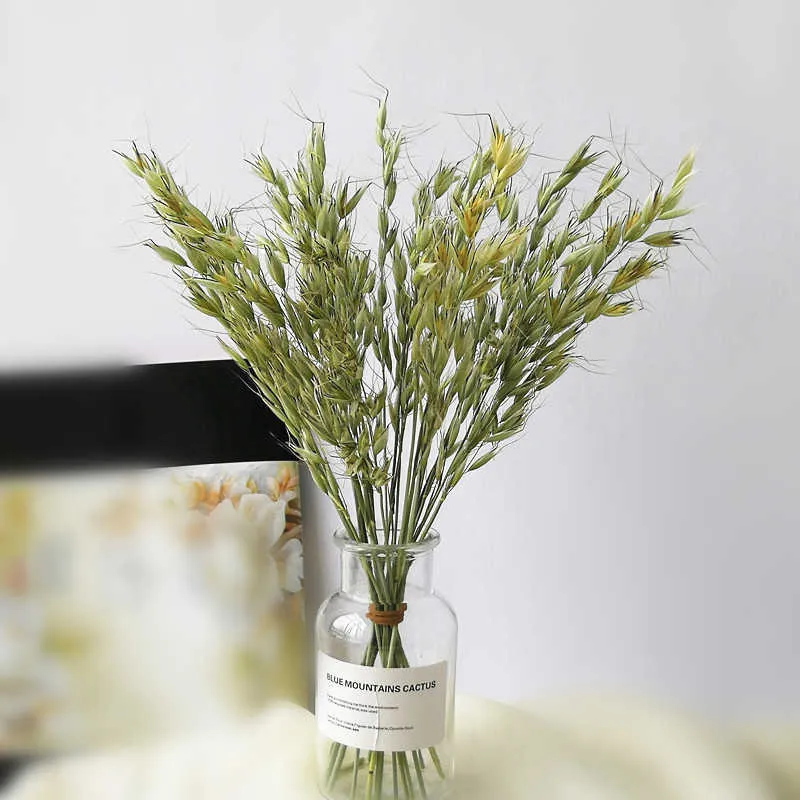 Gedroogde bloemen Natuurlijke haver Konijn Hond Riet Gras Gouden Tarwe Oor Decoratieve muur Thuis Tafel of Studie Verfrissend