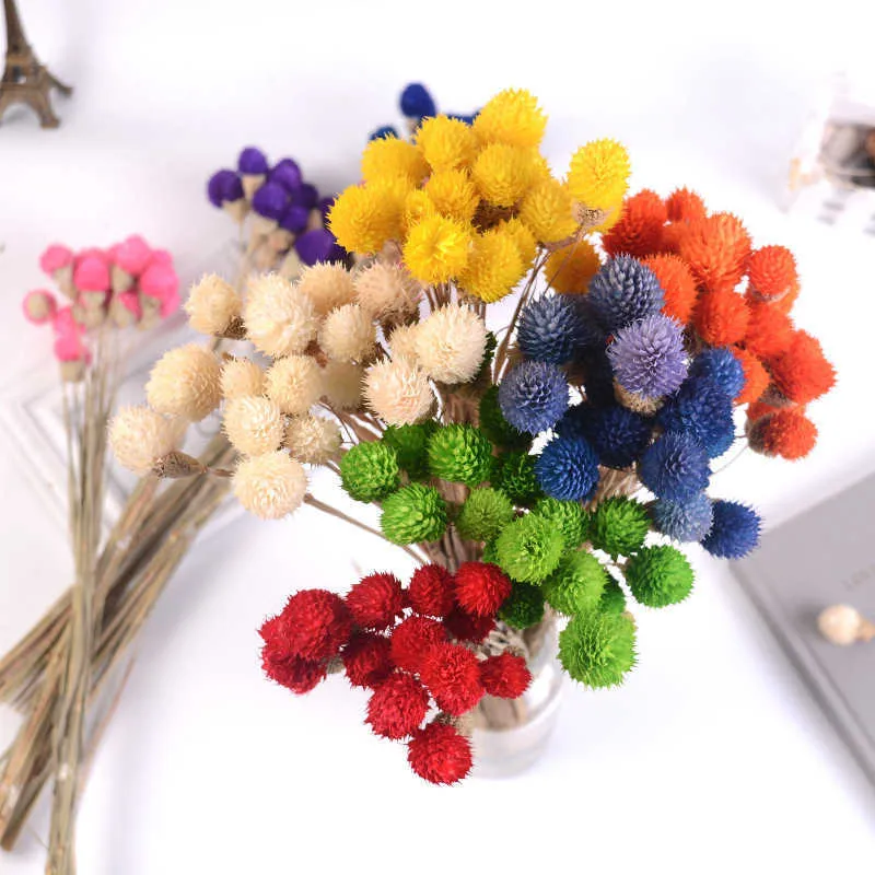 Fleurs séchées 10 pièces fleur naturelle fraise fruits salon mariage Bouquet Arrangement matériel artisanat accessoires et matériaux
