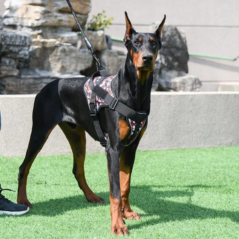 Colliers pour chiens harnais de poitrine pour animaux de compagnie anti-déflagrant tactique de poinçon Type de gilet accessoires de cercle de chaîne moyenne et grande