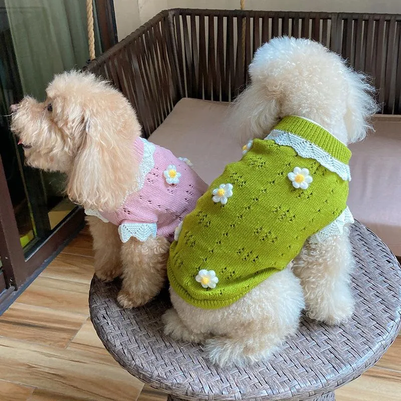 Sweters Designer ciepłe zimowe ubrania dla zwierząt domowych wełna Kwiat kwiatowy Nowy Rok w York Swetery Sphinx Cat Christmas Puppy Clothing