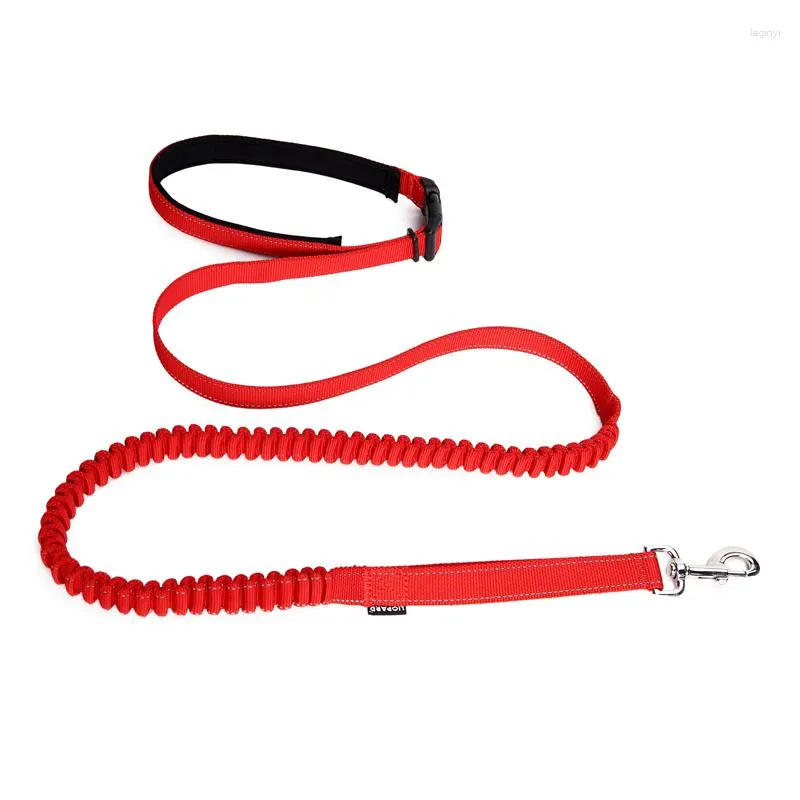 Dog Collars Hand Free Multipurpose Retractable Nylon Leash Reflective Running Walking Training