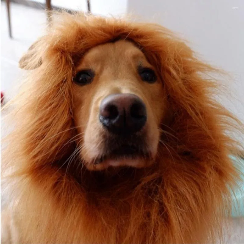 Dog Apparel Festival Pet Costume Funny Lion Mane- Wig Headgear Hat Halloween Party Decor Pour Golden Retriever Teddy Labrador Husky Chihuahua